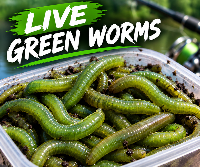 Live Green Worms
