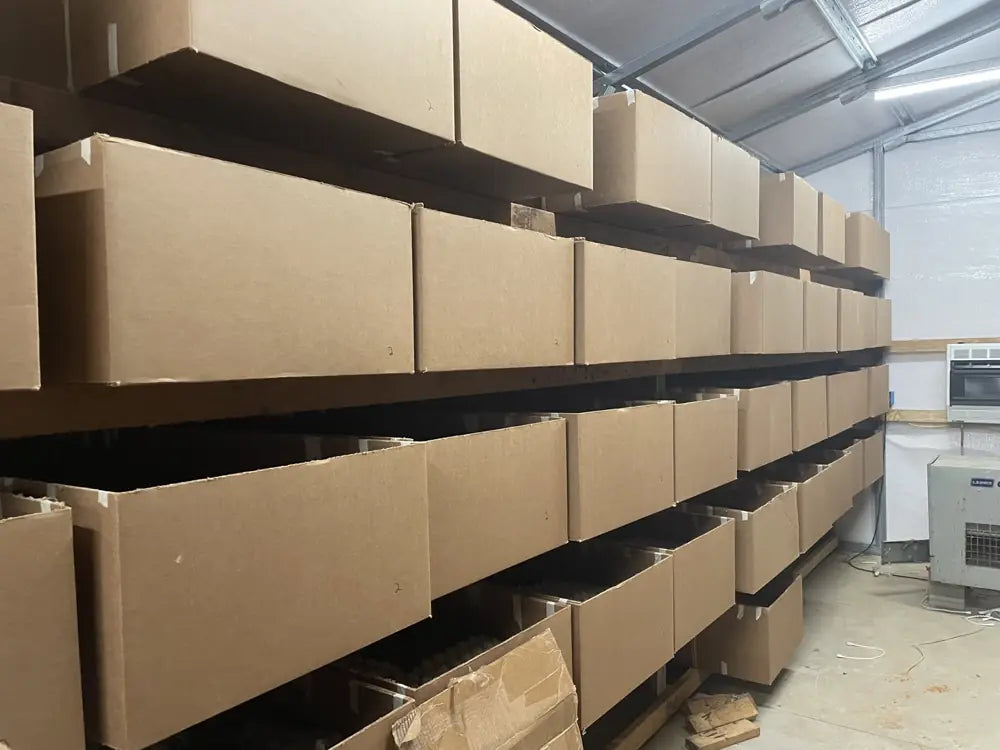 Inside Barton Bait’s cricket rearing room