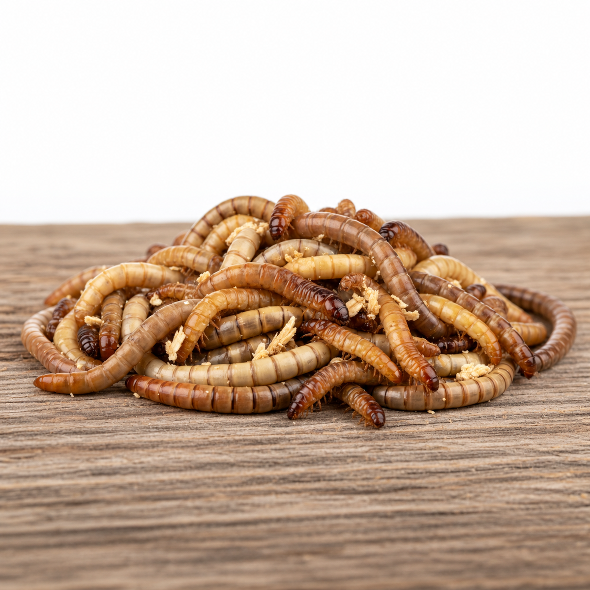 Superworms on a wood surface