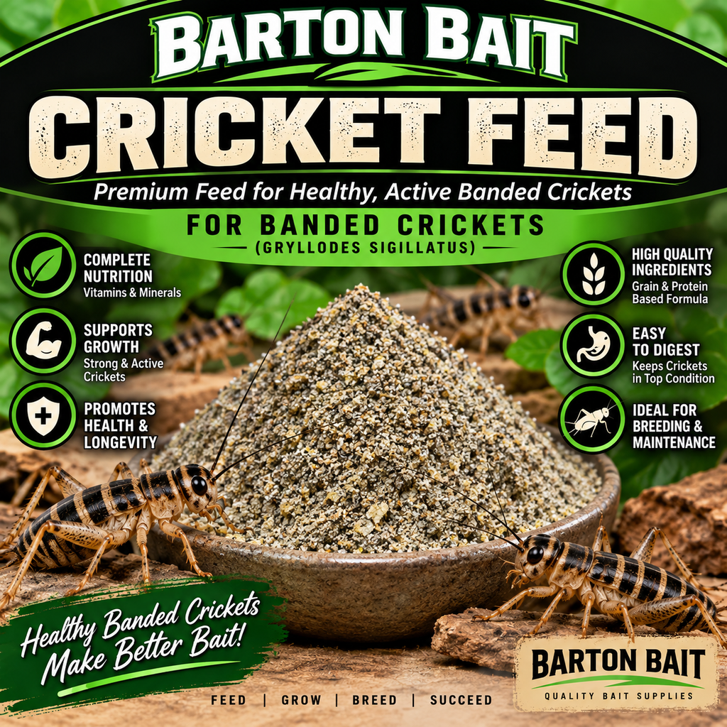 Cricket Feed