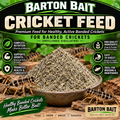 Cricket Feed