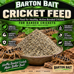 Cricket Feed