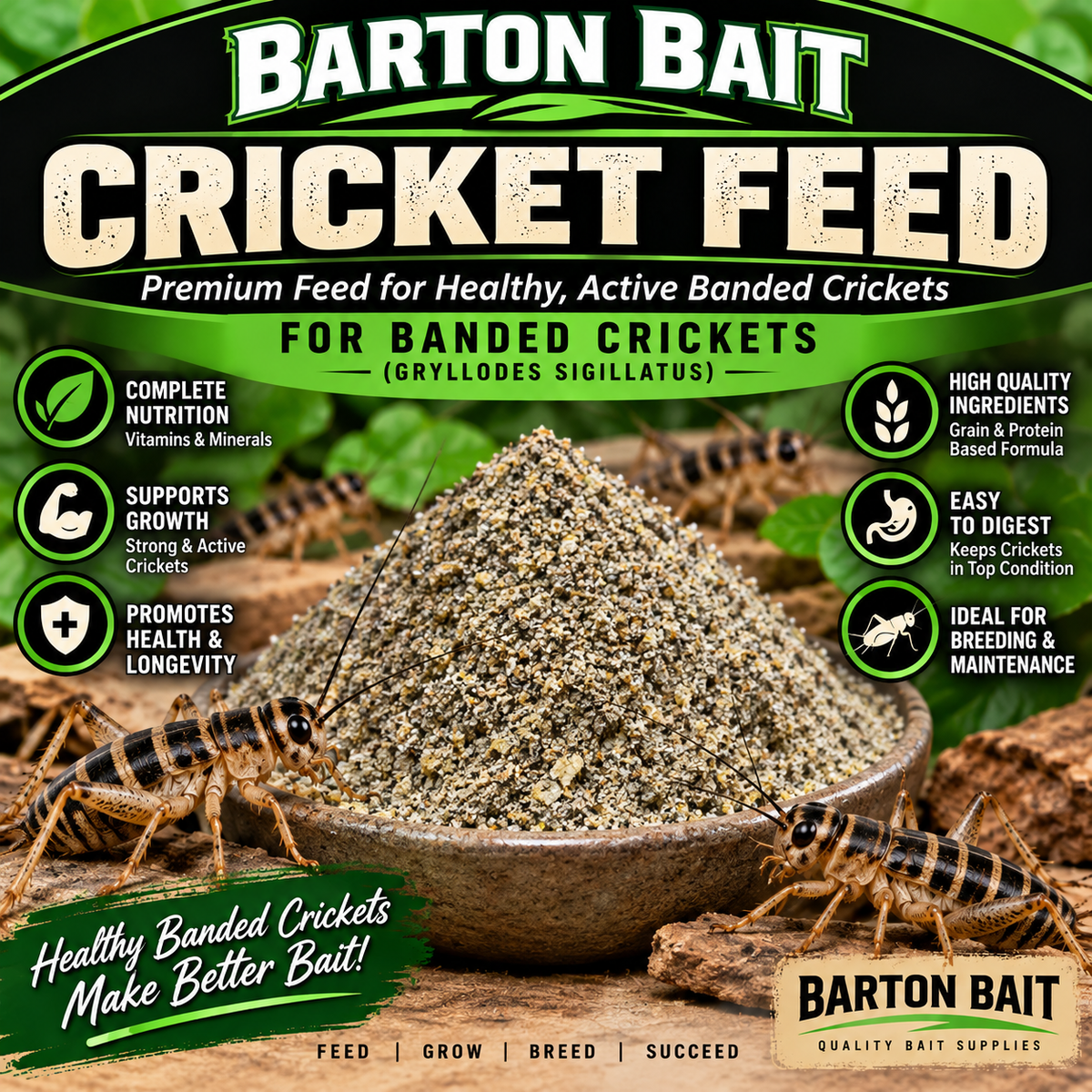 Cricket Feed